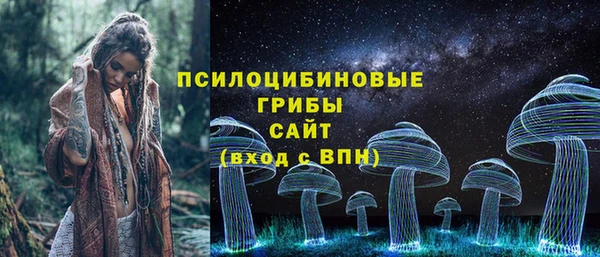 кокаин премиум Заводоуковск