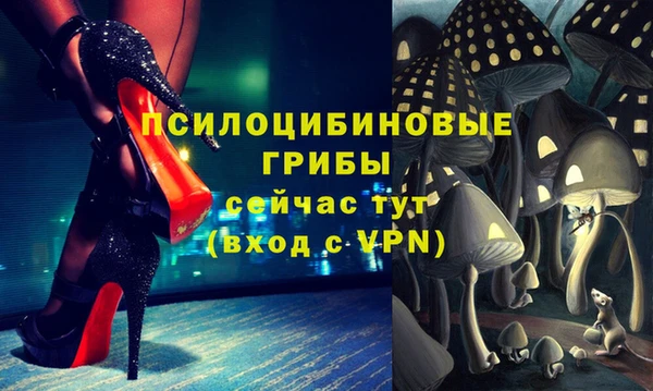 кокаин премиум Заводоуковск