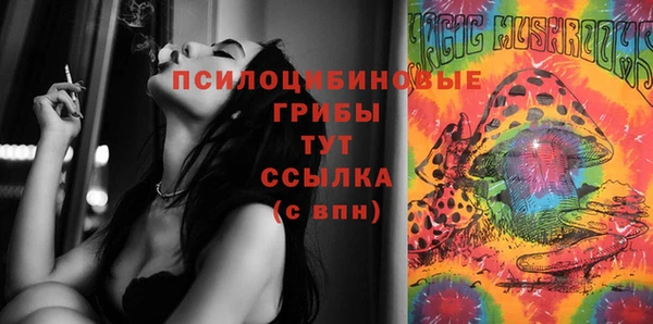 кокаин премиум Заводоуковск