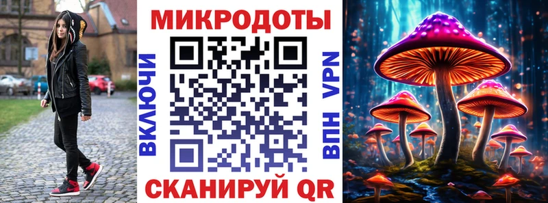 Купить  Петушки  Псилоцибиновые грибы Psilocybine cubensis 